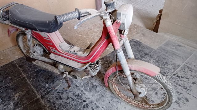 derbi variant