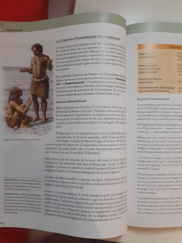 Filosofía primero de bachillerato