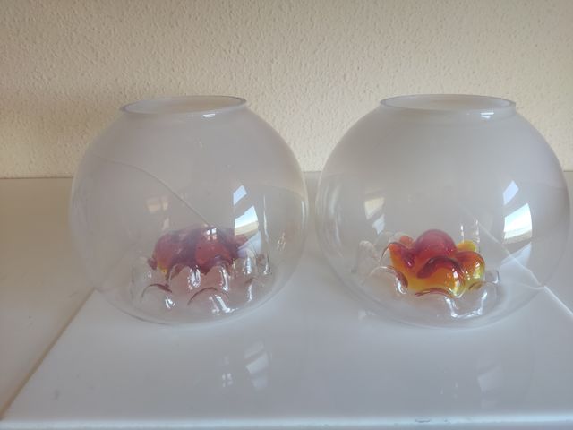 Tulipas de Murano Mazega