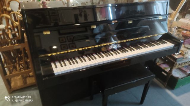 Pianoforte Amadeus