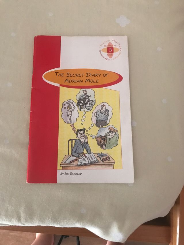 The Secret Diary of Adrian Mole