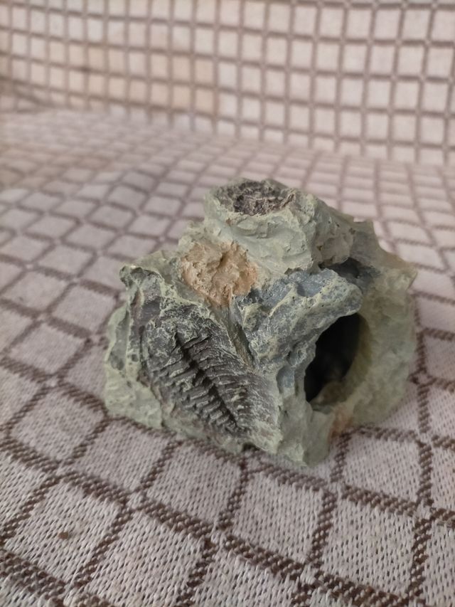 decoración acuario pecera