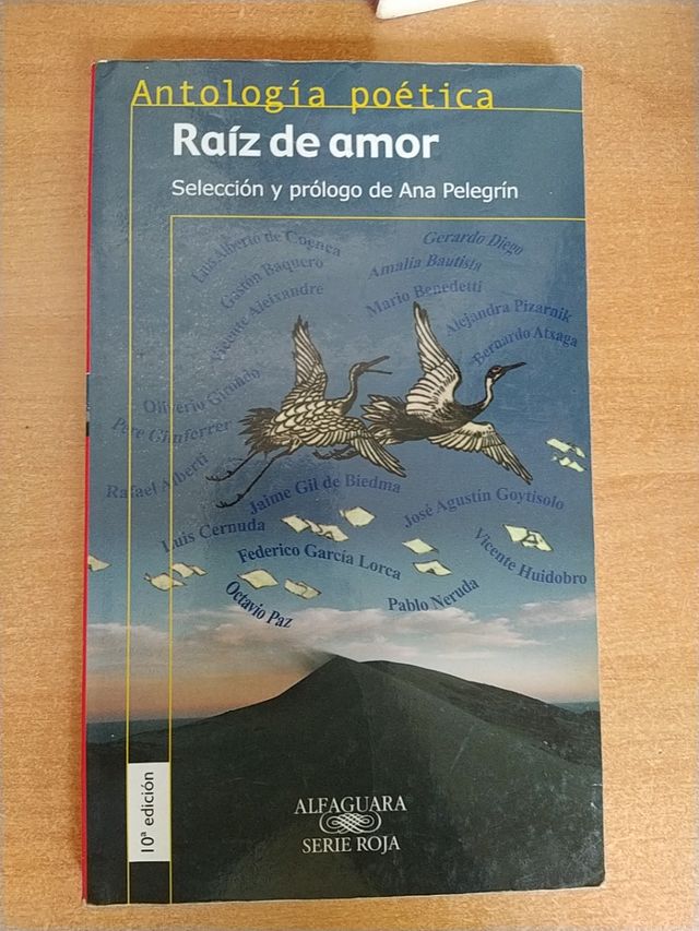 Raíz de Amor.