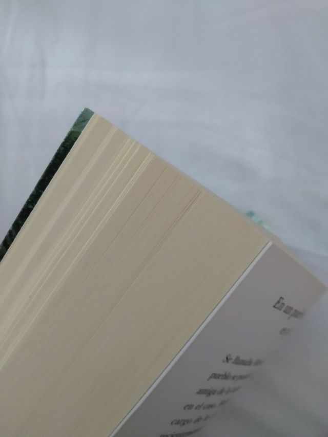 La princesa de hielo