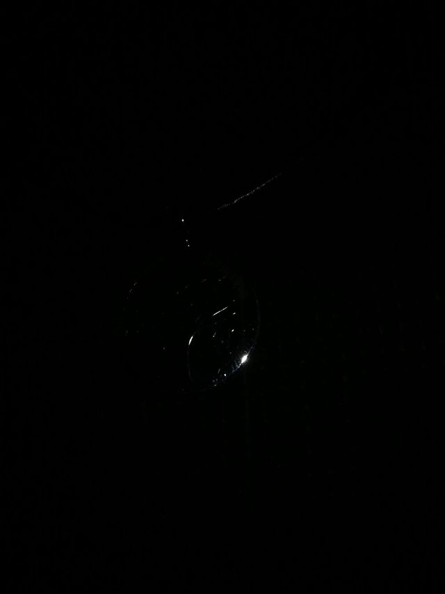 colgante árbol de la vida plata de ley 925 mls