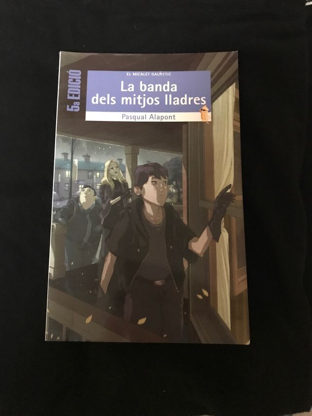 La banda dels mitjos lladres