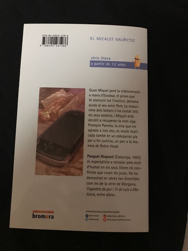 La banda dels mitjos lladres