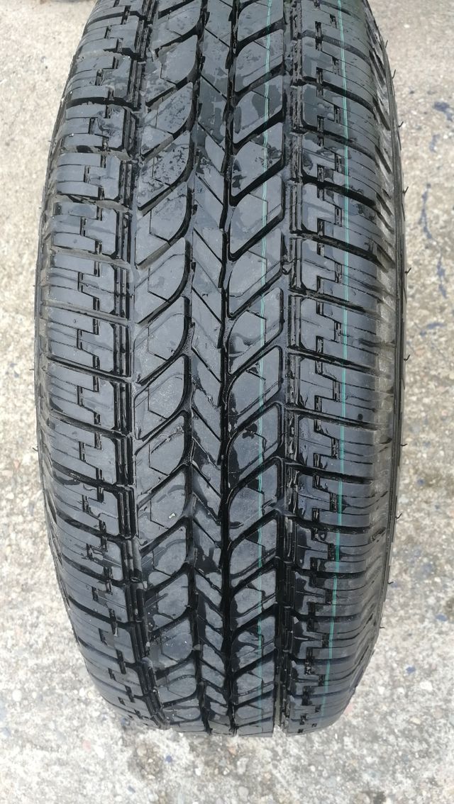 neumático Michelin esta nueva