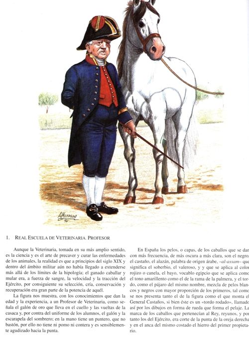UNIFORMES DEL ESTADO MILITAR DE ESPAÑA DE 1815.