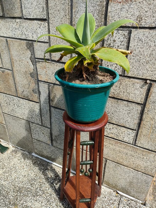 Macetero antiguo de madera modernista