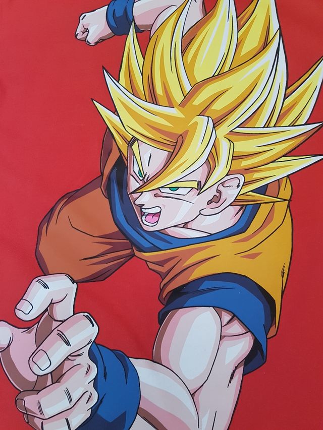 Camiseta Dragon Ball de Berskha