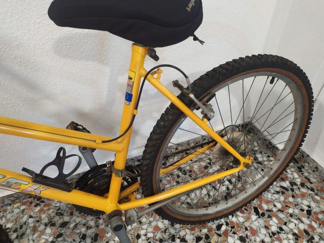 Bicicleta