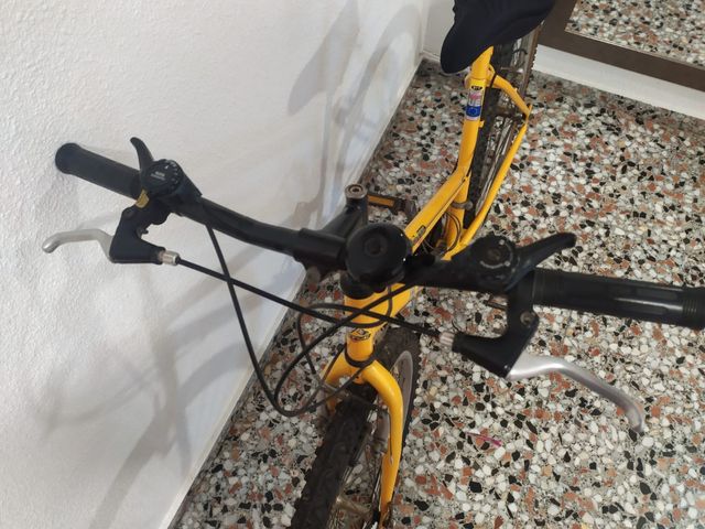Bicicleta