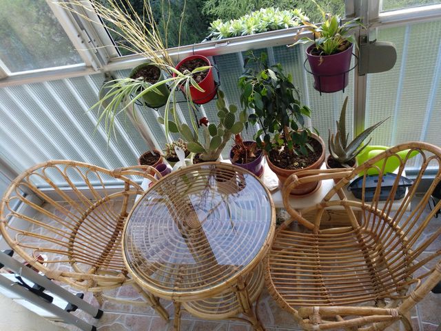 Sillas mimbre para jardín/terraza de segunda mano en Madrid en WALLAPOP