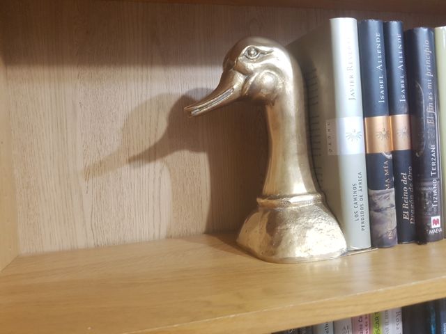 Pato sujeta libros vintage 