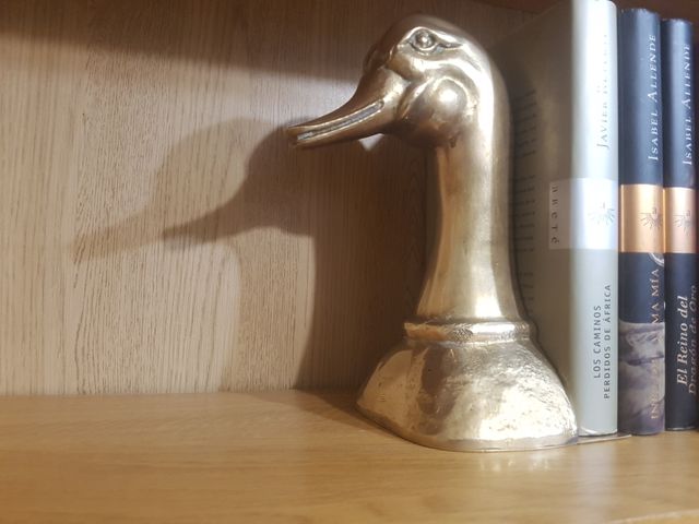 Pato sujeta libros vintage 