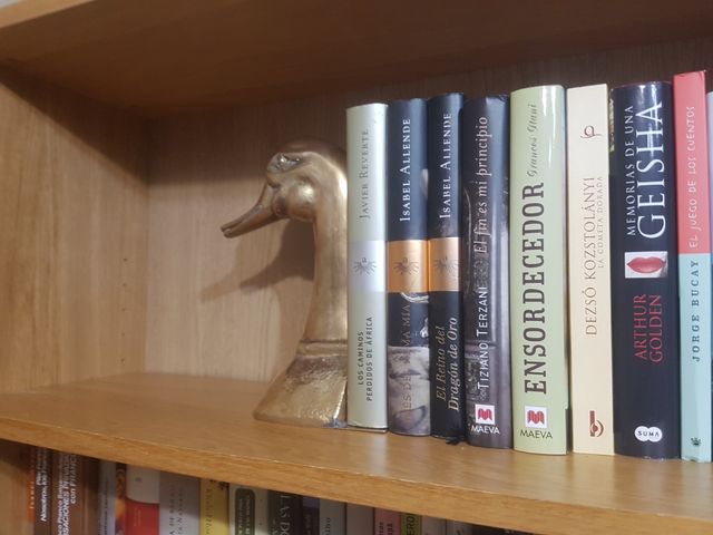 Pato sujeta libros vintage 