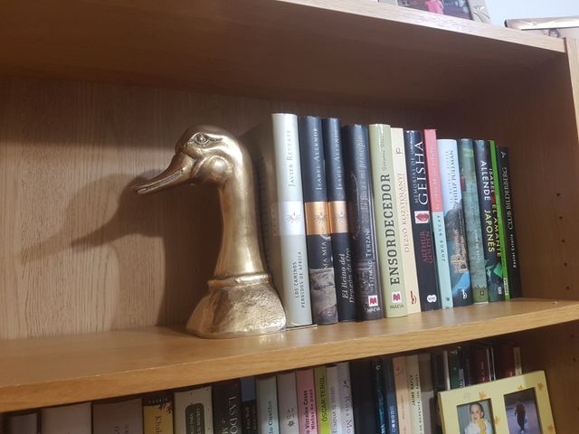 Pato sujeta libros vintage 