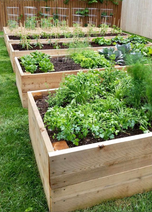 Diseño de huertos ecológicos y jardines de segunda mano por 80 € en