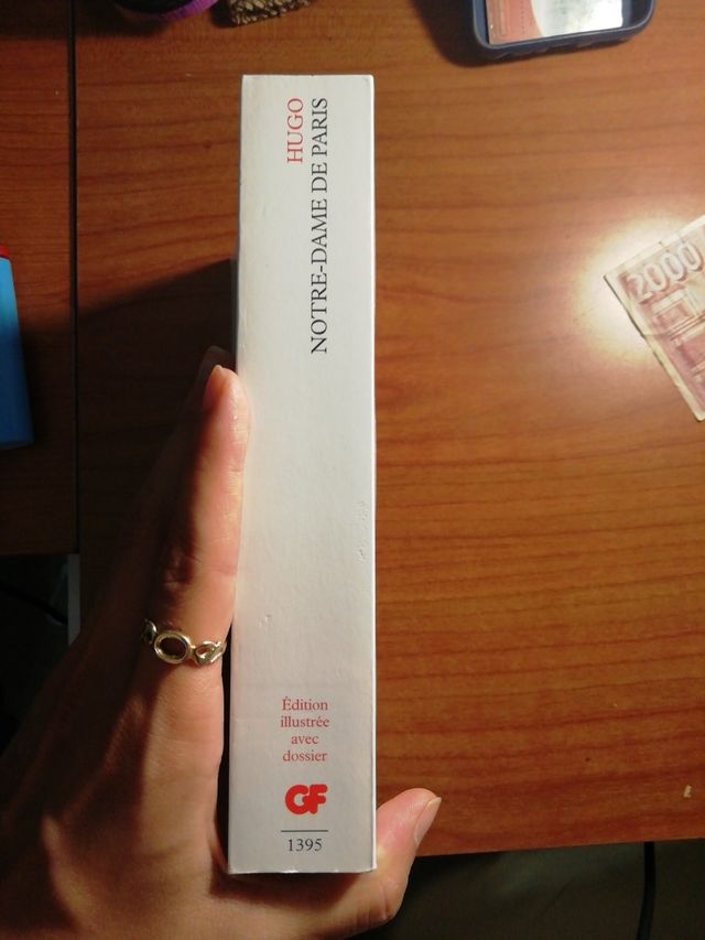 Notre Dame de Paris (en francés)