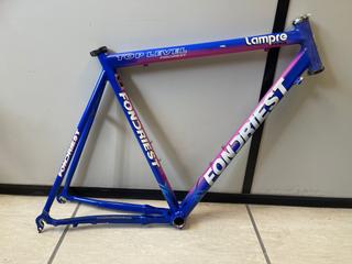 Cuadro fondriest top level team lampre daikin de segunda mano por 299,99  EUR en Carranque en WALLAPOP