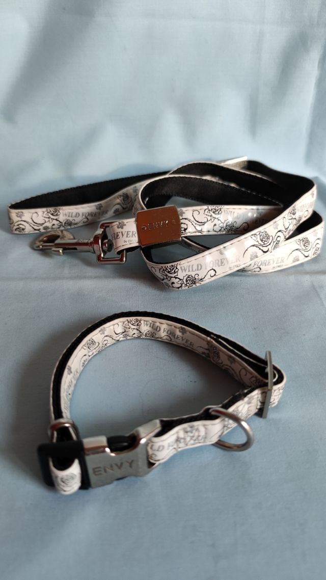 Collar y correa perro