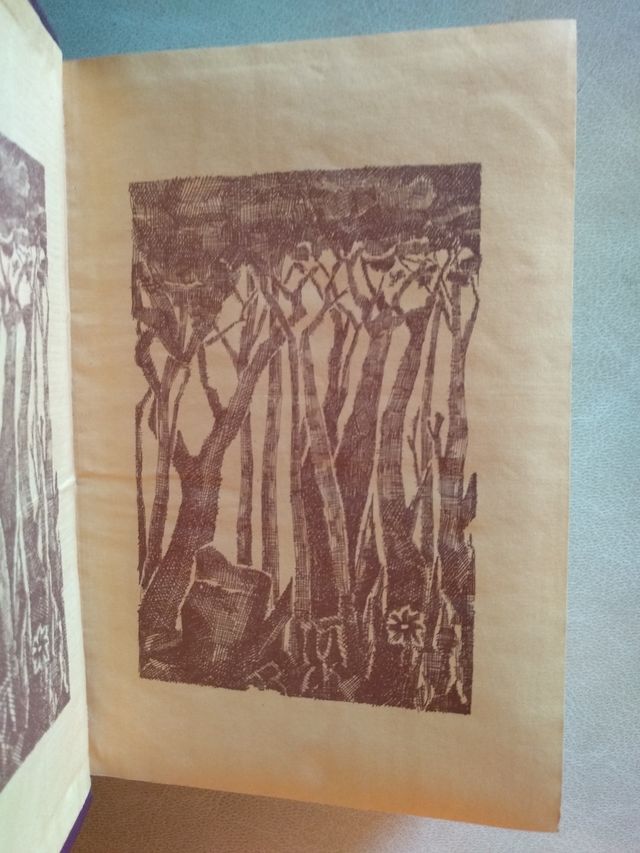 OBRAS COMPLETAS II (Louis Bromfield)