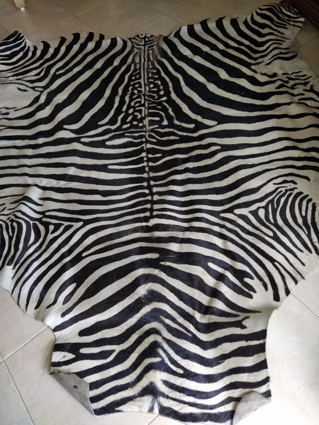 Alfombra de piel.