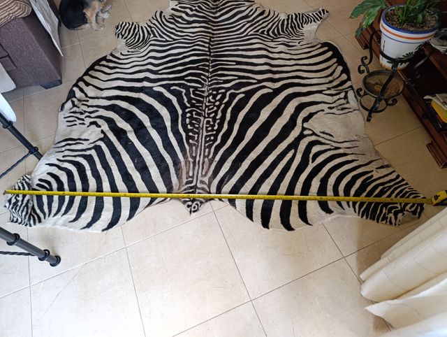 Alfombra de piel.