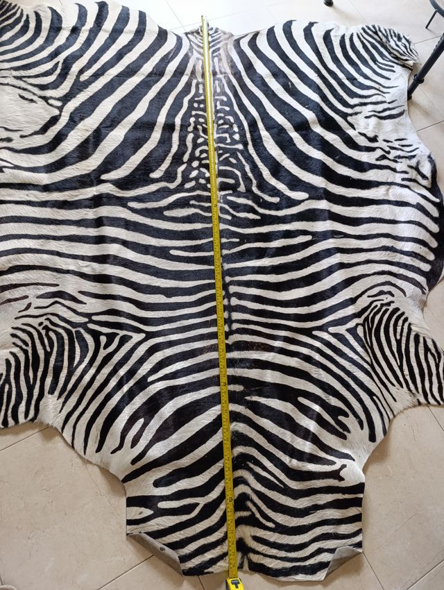 Alfombra de piel.