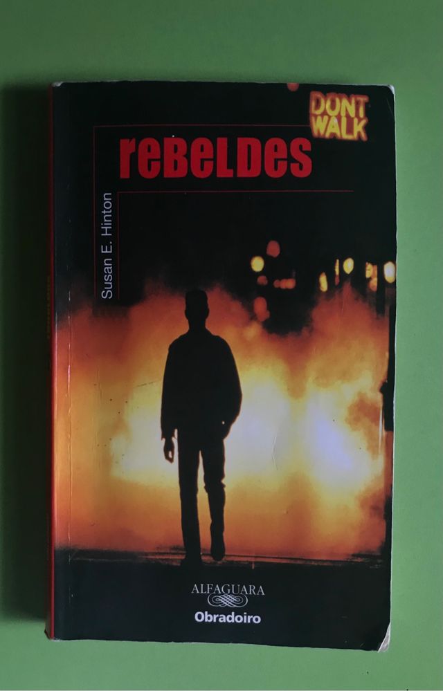 Rebeldes Susan E. Hinton