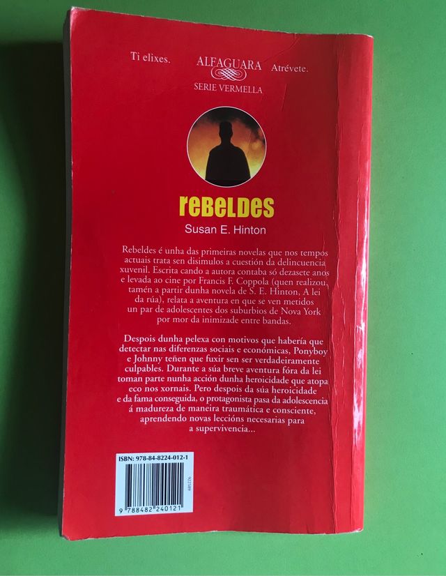 Rebeldes Susan E. Hinton