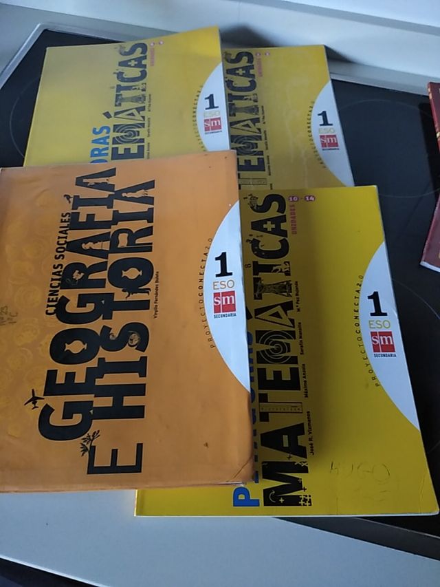 libros 1 ESO SM en lote o sueltos
