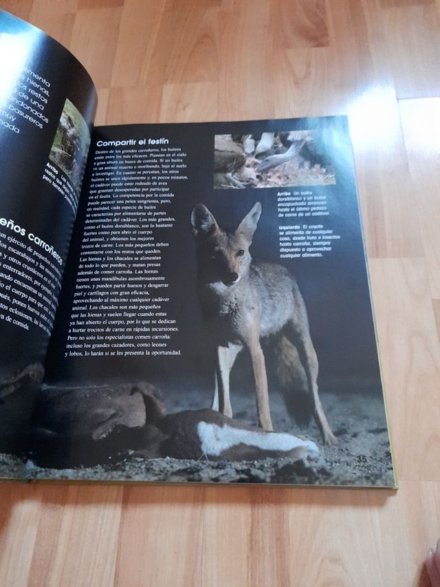 La gran enciclopedia de los animales asesinos.