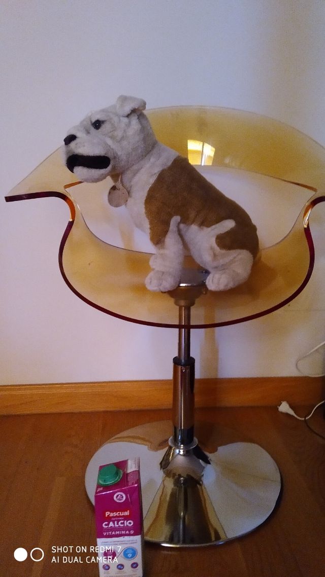 PERRO PELUCHE DE MARCA