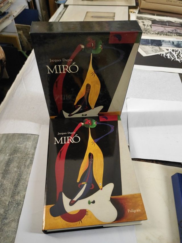 Libro Miró