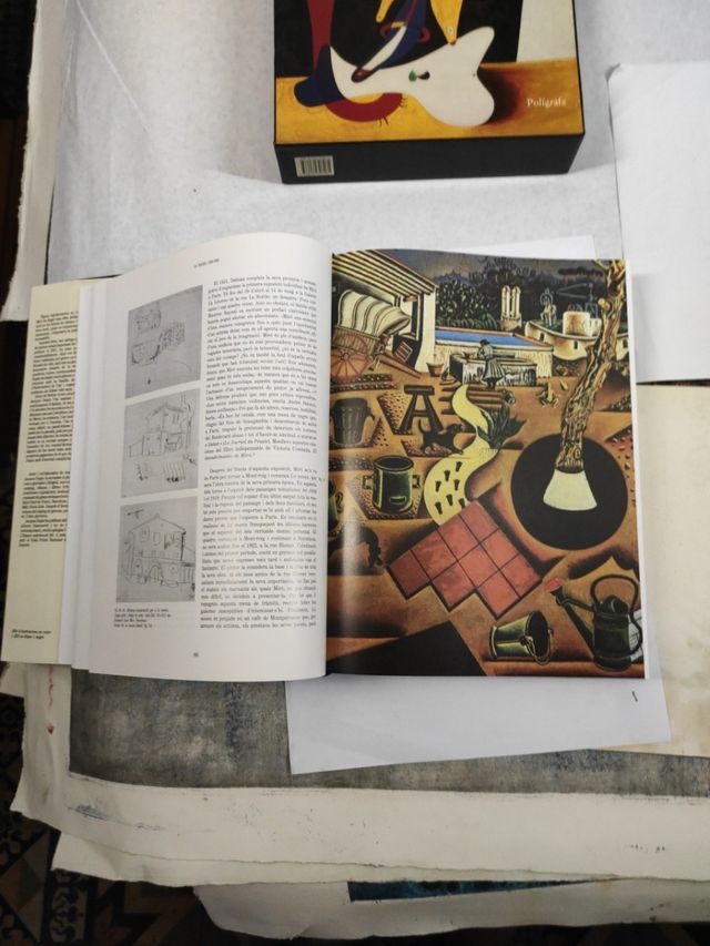 Libro Miró