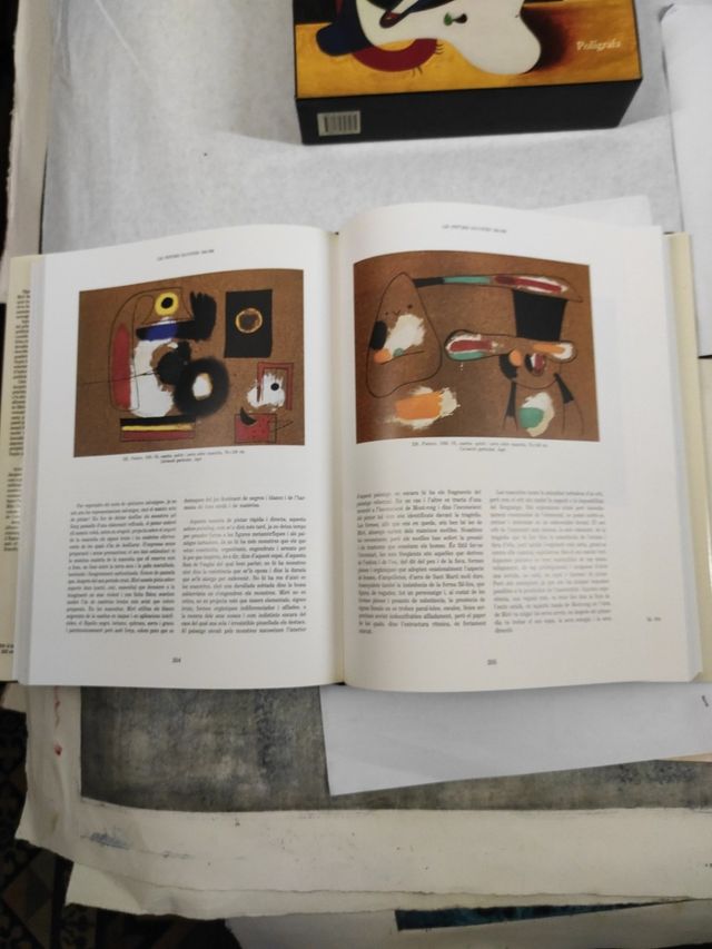 Libro Miró