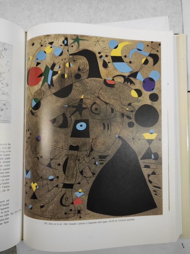 Libro Miró