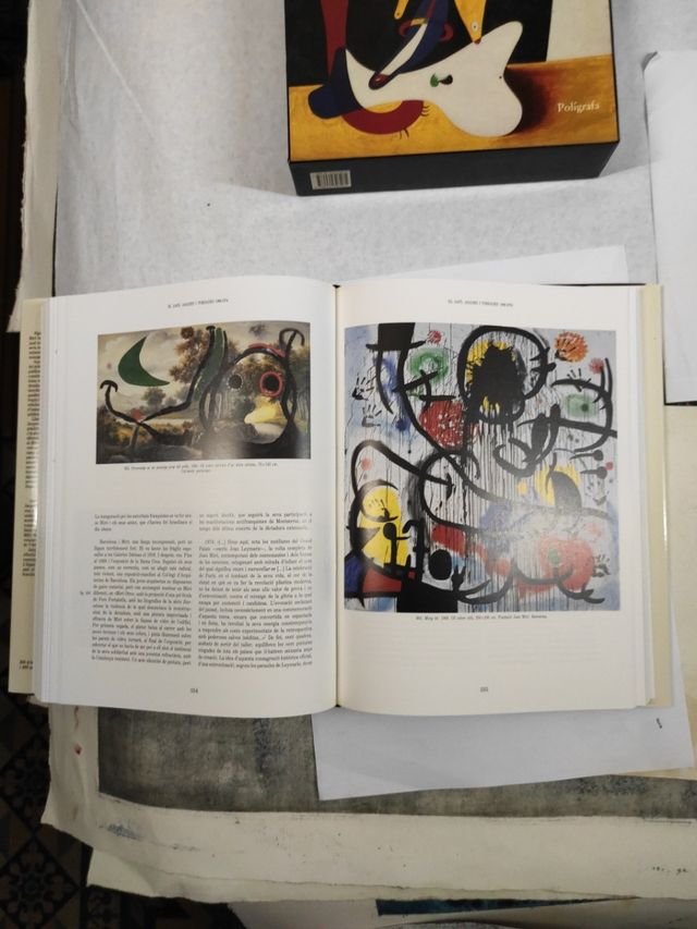 Libro Miró