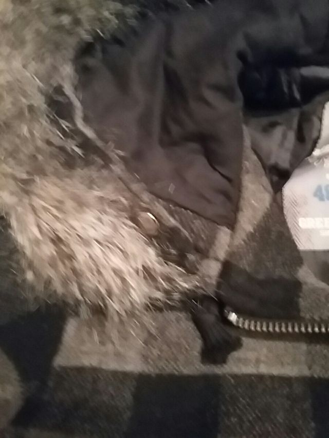 CAZADORA GREEN COAST, MUJER / CHICA - TALLA 48/S.