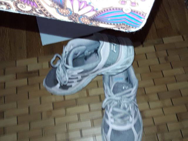 falleros zapatillas de la talla 38 de la marca fil