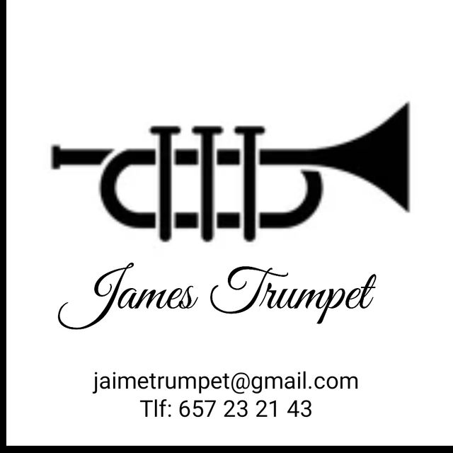 Música en directo para bodas y eventos