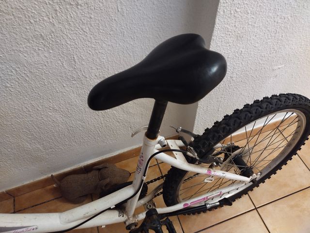 bicicletta per bambini