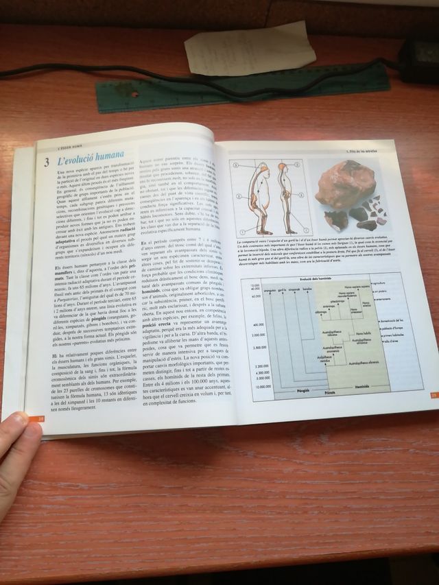 Filosofia 1 Bachillerato