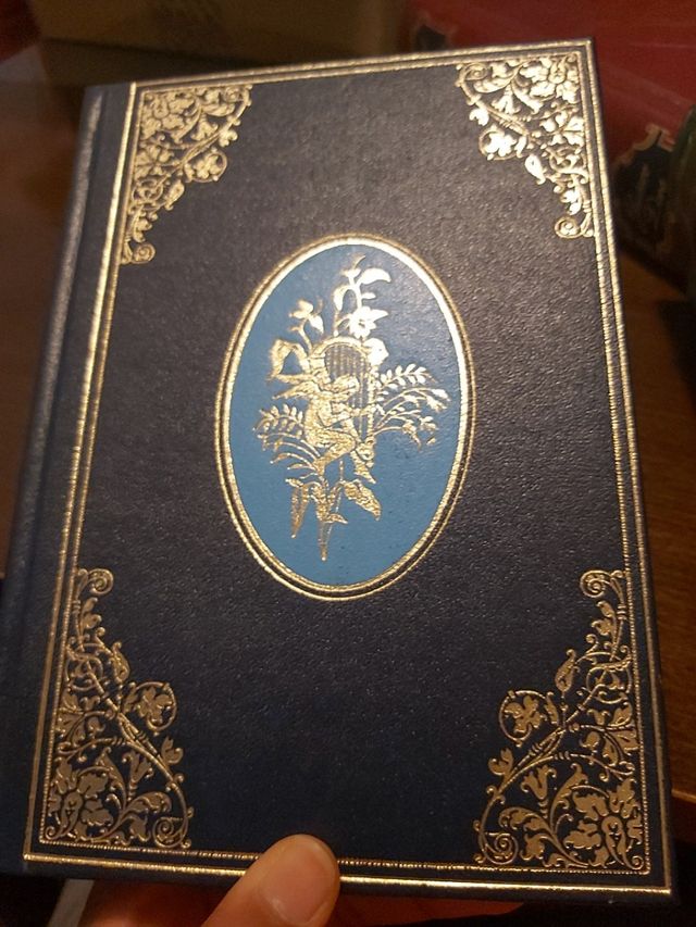 libro : la marcha nupcial, un muchacho feliz