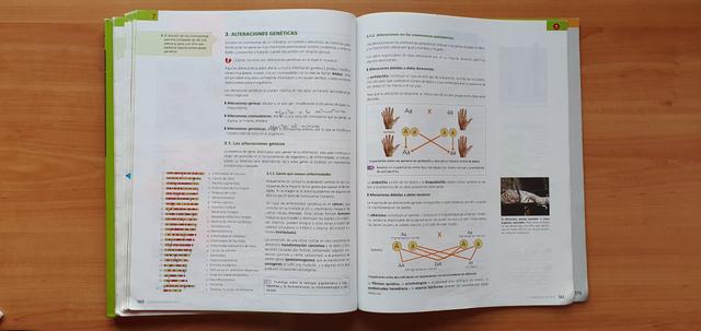 Biología y Geología 4 ESO (Oxford)