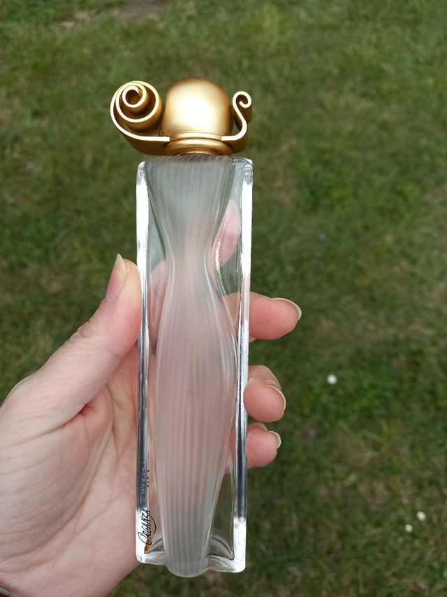 collezione di bottiglie di profumo vuote