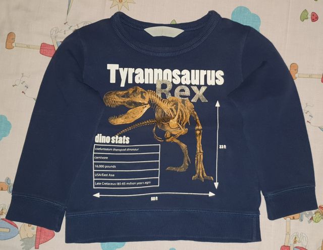 Sudadera Tyrannosaurus Rex HyM 2-4 años