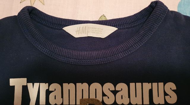 Sudadera Tyrannosaurus Rex HyM 2-4 años
